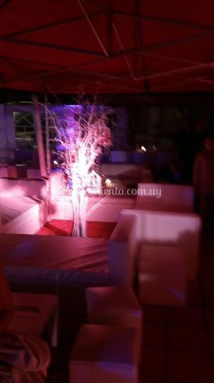 Daiquiri wedding venue in Punta del Este