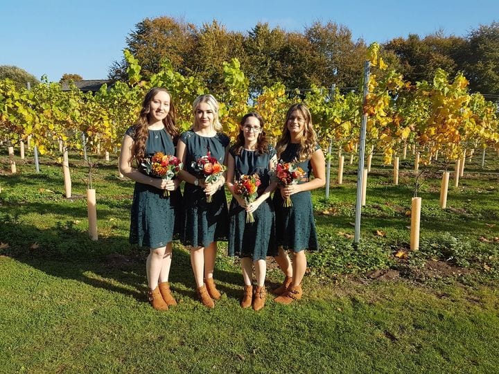 Cholderton Rare Breeds Farm wedding venue in Salisbury