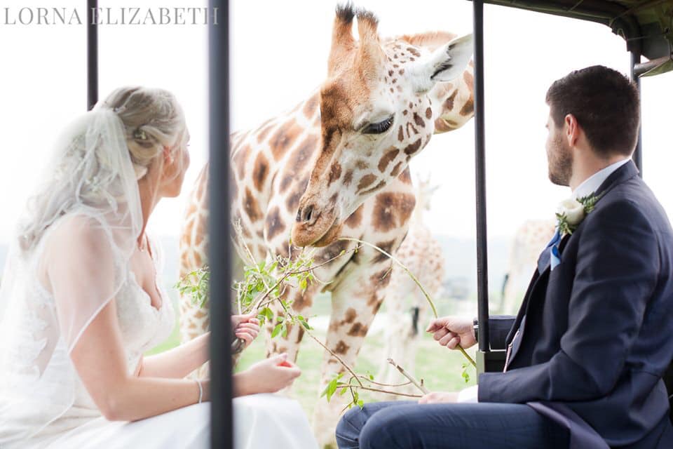 Port Lympne Hotel & Reserve wedding venue in Hythe