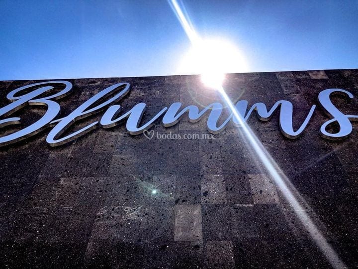 Blumms wedding venue in Querétaro