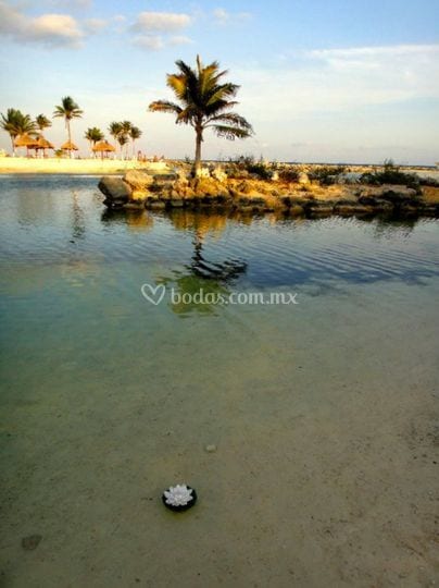 Beach Front wedding venue in Puerto Aventuras