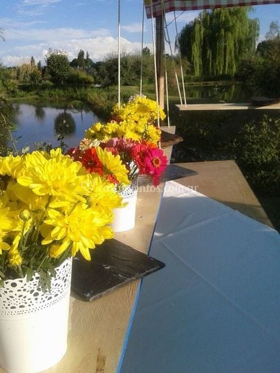 Bodega Renacer wedding venue in Mendoza