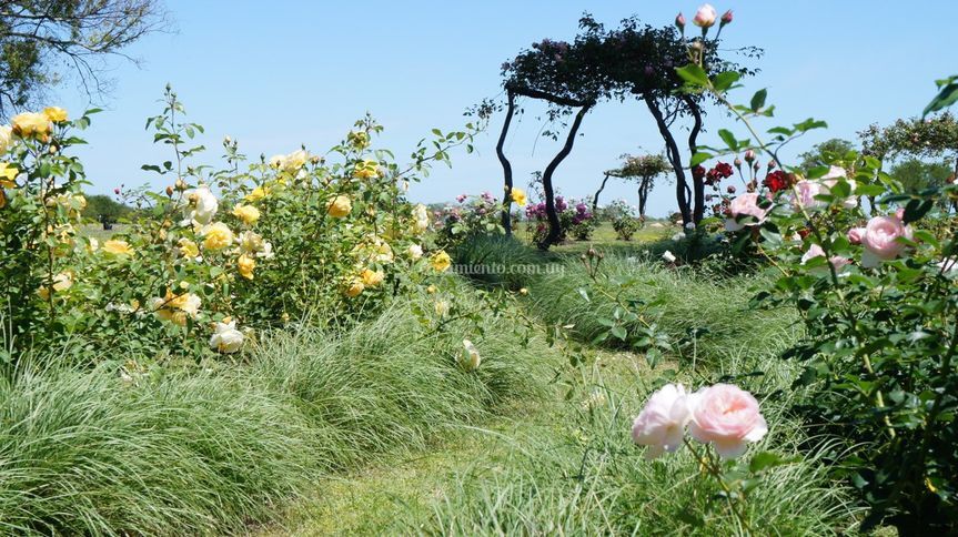 El Cangüé wedding venue in Porvenir