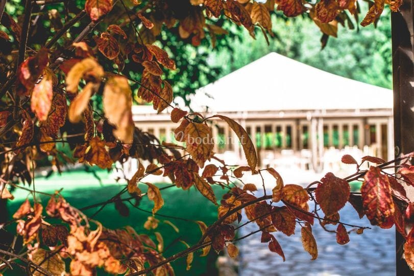 Espacios Magnolia Catering wedding venue in Madrid