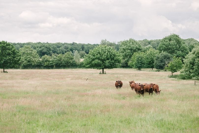 Stanstead Bury wedding venue in Stanstead Abbotts