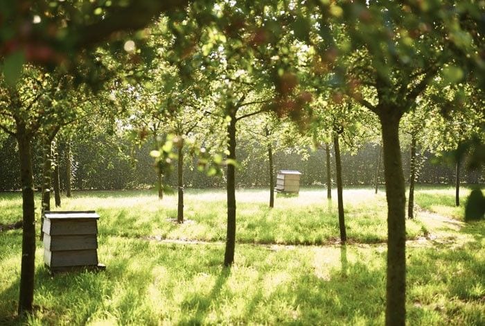 Idyllic Suffolk wedding venue in Colchester