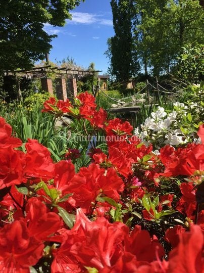 Borgo San Cristoforo 1472 wedding venue in Oleggio