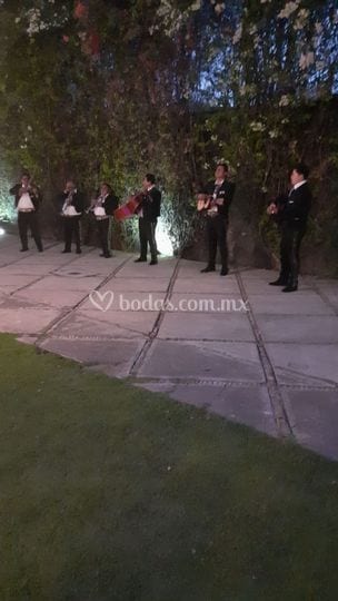 Bamboo wedding venue in Xochimilco