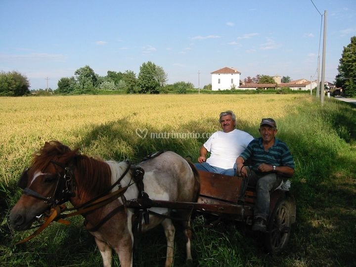 Agriturismo Cascina Rosio wedding venue in Albairate