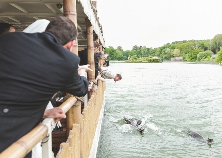 Longleat House wedding venue in Warminster