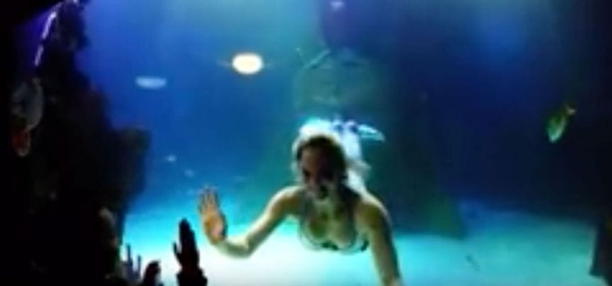 Skegness Aquarium wedding venue in Skegness