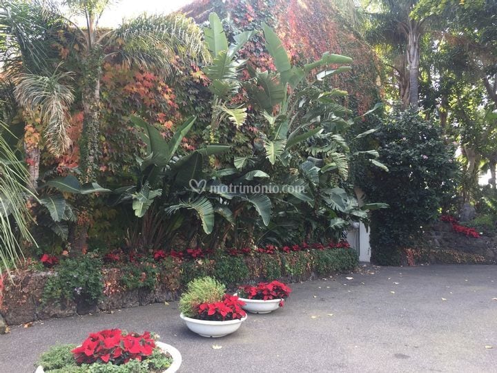 Casa delle Terre Forti wedding venue in Aci Castello