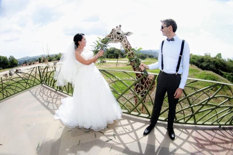 Africam Safari wedding venue in Tecali de Herrera