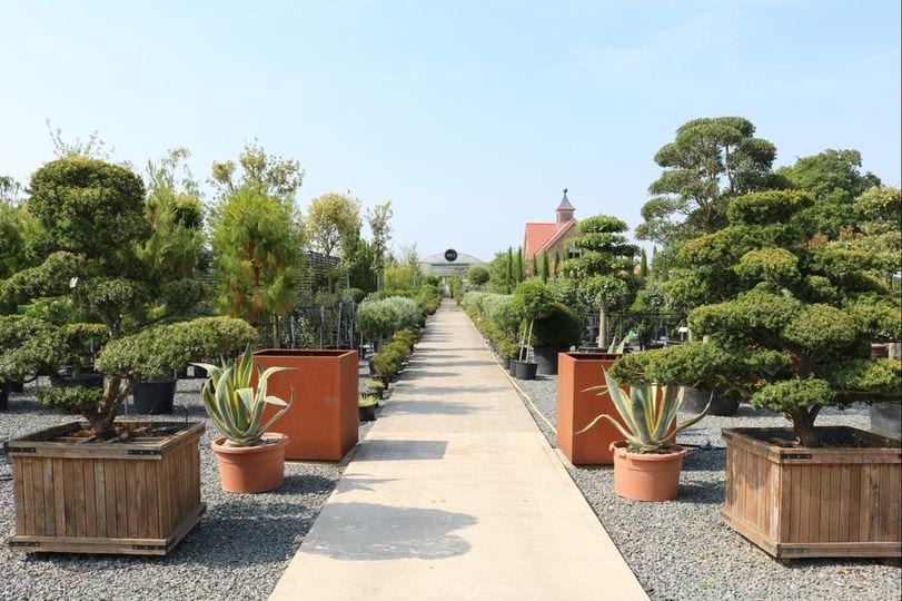 Architectural Plants wedding venue in Pulborough