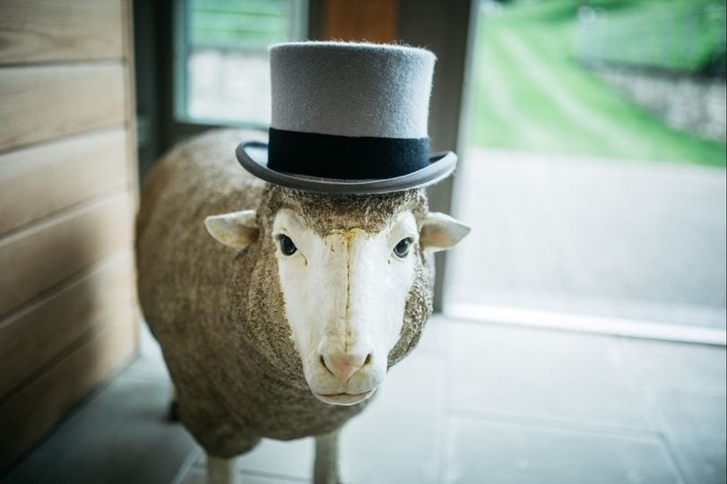 Sheepdrove Organic Farm wedding venue in Lambourn