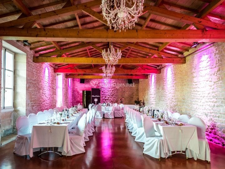 Château de Crazannes wedding venue in Crazannes