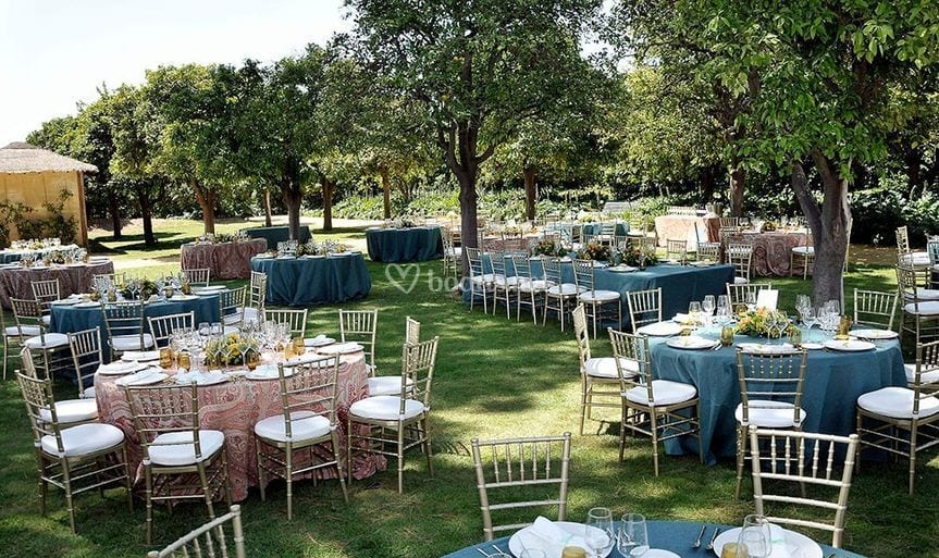Catering La Raza wedding venue in Sevilla