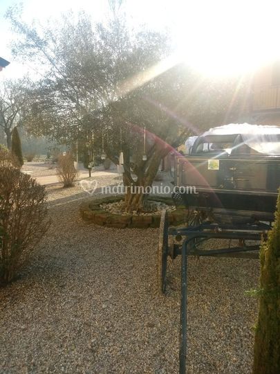 Agriturismo Cascina Boschi wedding venue in Volta Mantovana