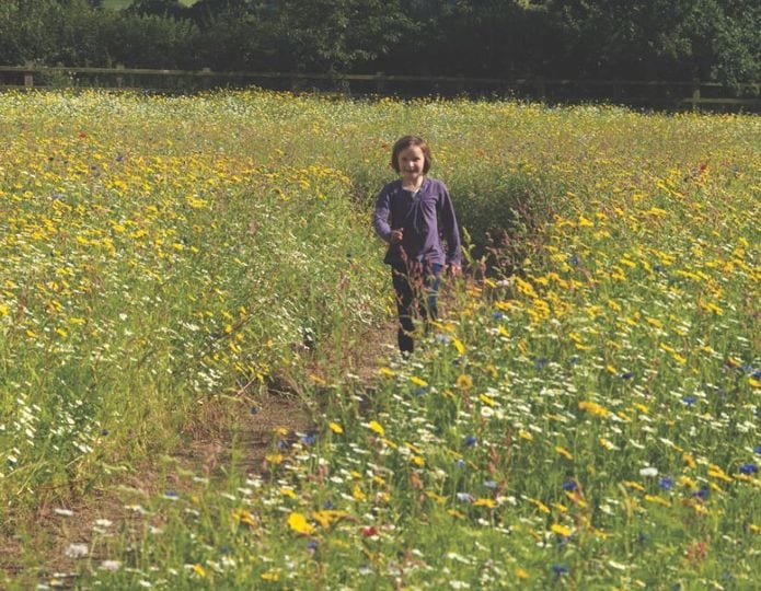 Lower Halsdon Farm wedding venue in Exmouth